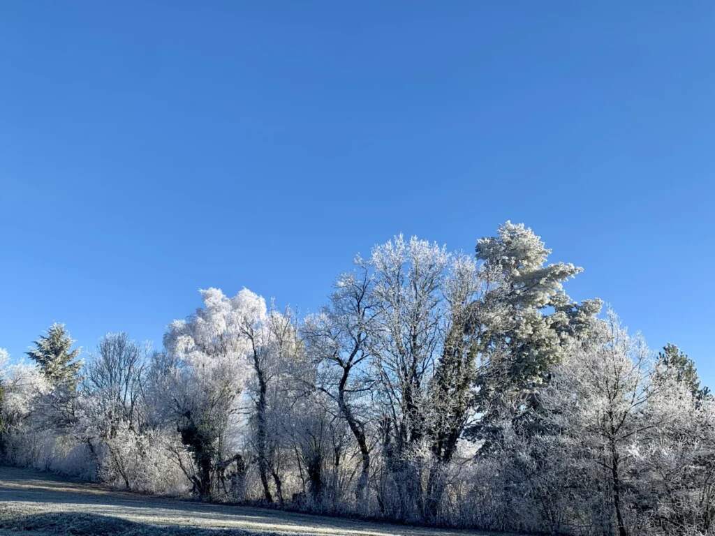 Balades autour du chalet l&rsquo;hiver…